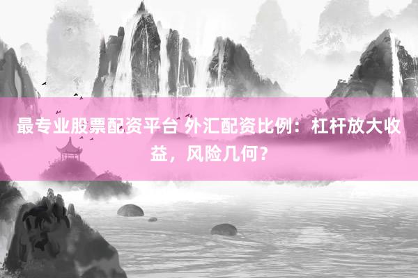 最专业股票配资平台 外汇配资比例：杠杆放大收益，风险几何？