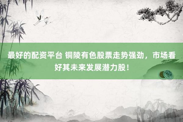 最好的配资平台 铜陵有色股票走势强劲，市场看好其未来发展潜力股！