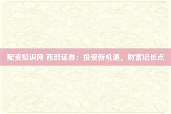 配资知识网 西部证券：投资新机遇，财富增长点