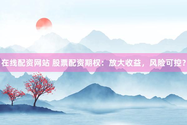 在线配资网站 股票配资期权：放大收益，风险可控？