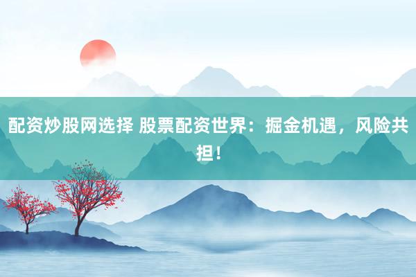 配资炒股网选择 股票配资世界:掘金机遇,风险共担!