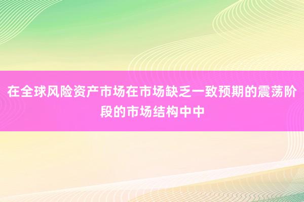 在全球风险资产市场在市场缺乏一致预期的震荡阶段的市场结构中中
