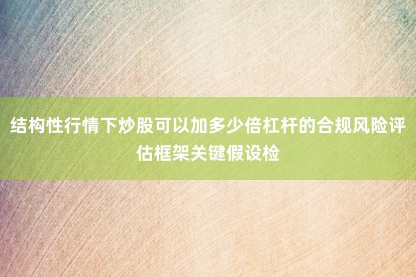 结构性行情下炒股可以加多少倍杠杆的合规风险评估框架关键假设检