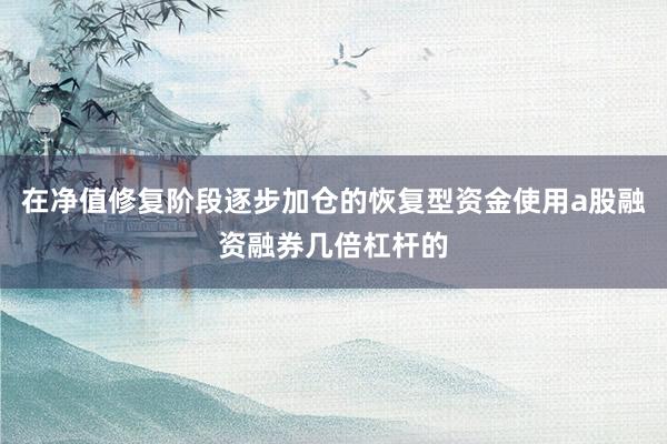 在净值修复阶段逐步加仓的恢复型资金使用a股融资融券几倍杠杆的