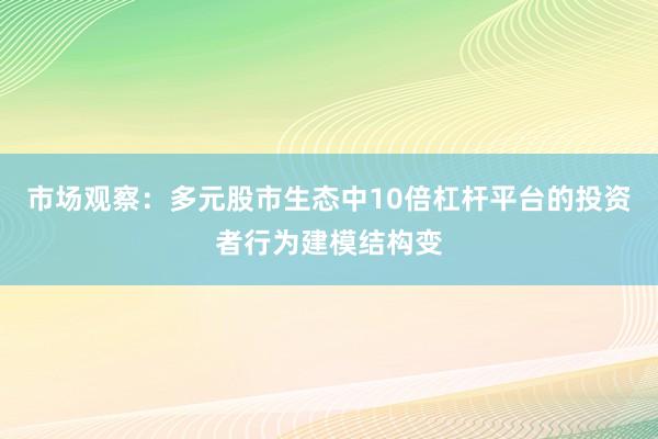 市场观察：多元股市生态中10倍杠杆平台的投资者行为建模结构变