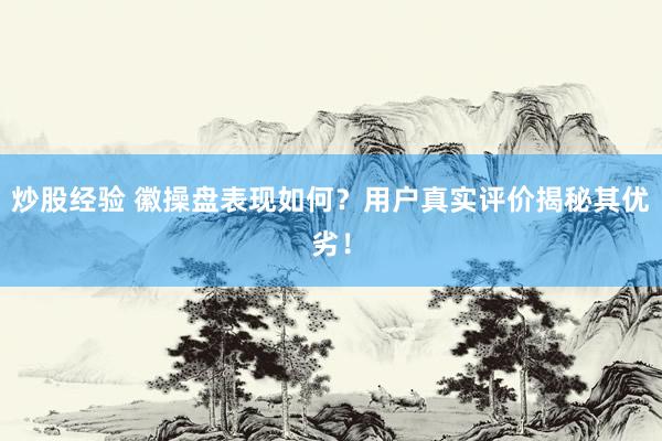 炒股经验 徽操盘表现如何？用户真实评价揭秘其优劣！